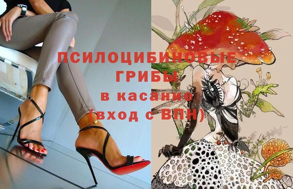 apvp Алексеевка